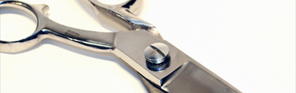 artikel_skraedder_top_540x345
